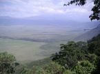 Crter del Ngorongoro