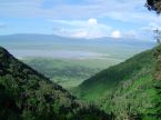 Crter del Ngorongoro